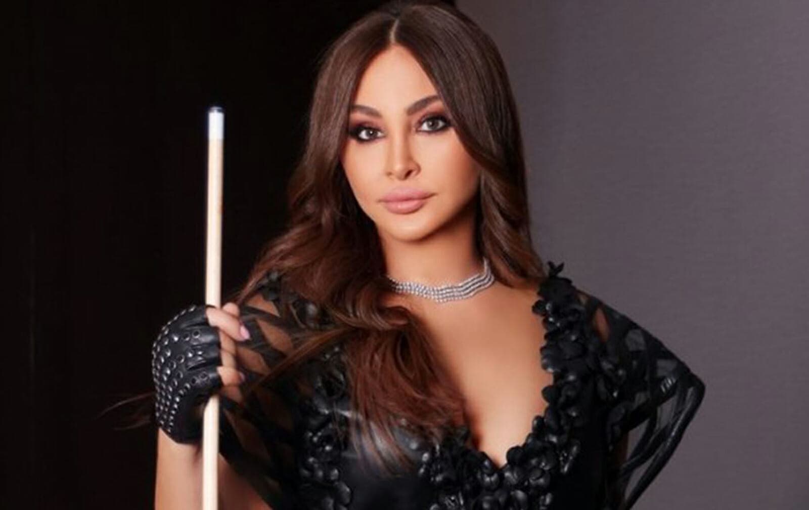 إليسا تكشف تفاصيل ألبومها الجديد: يحتوي على أغنية خليجية