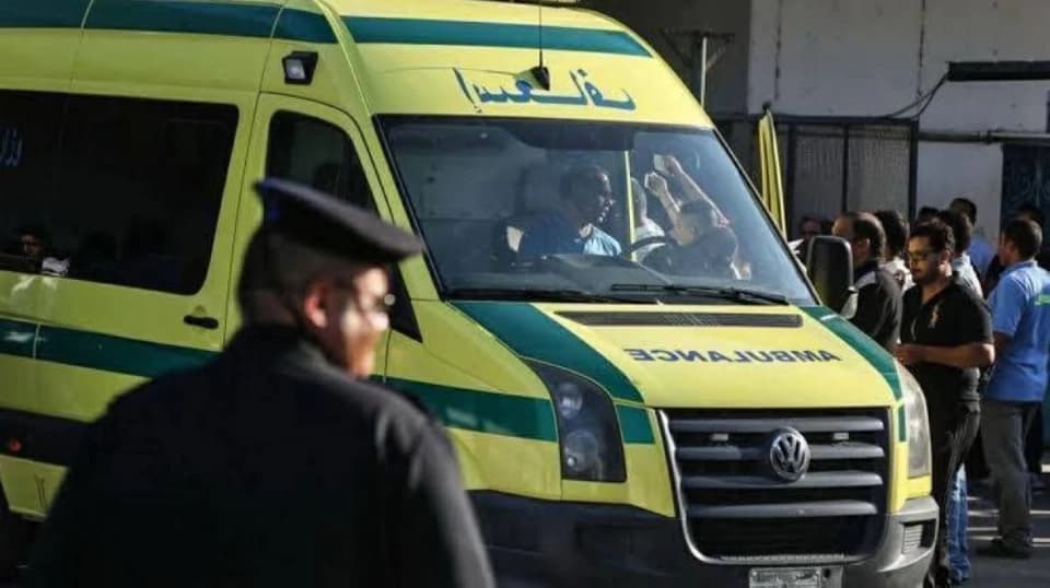 مصر.. جدّة تقتل حفيديها بحقة "كلور" وتدعي أن ثعباناً لدغهما