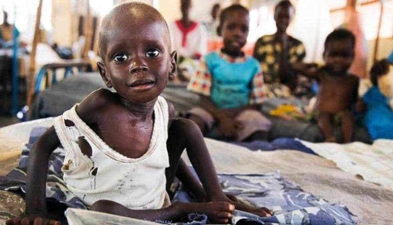 وزير الزراعة ينفي وقوع مجاعة في السودان