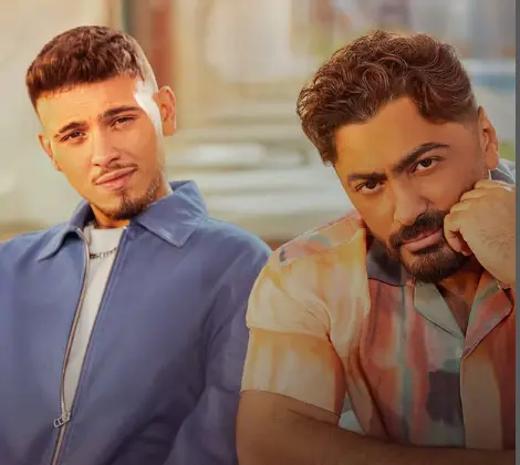 تامر حسني: حفلتي مع الشامي وهمية