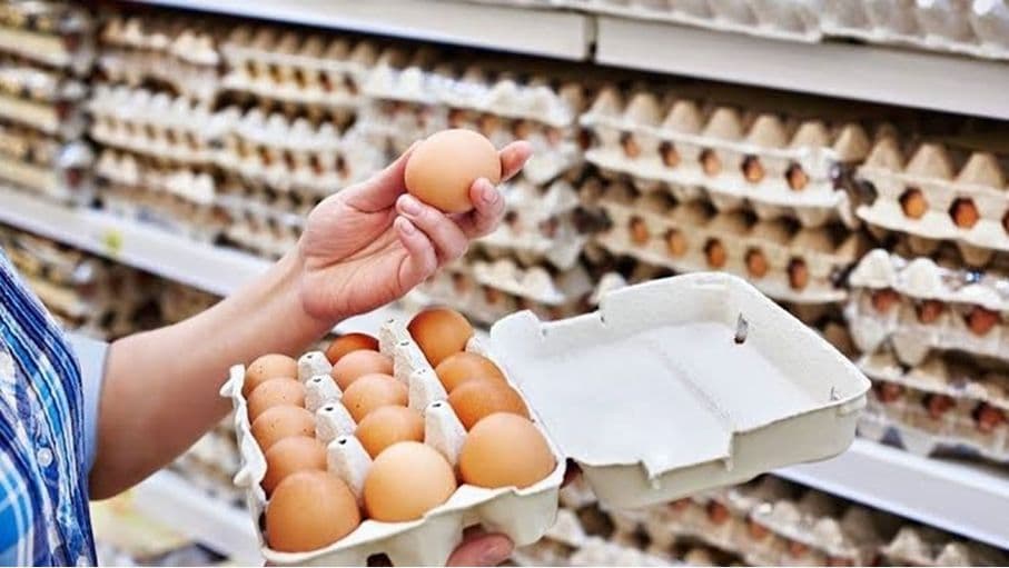 البيض العضوي أشد ضرراً على البيئة